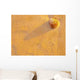 Concha Areia Wall Decal