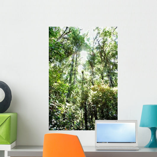 Rainforest Canopy Wall Decal
