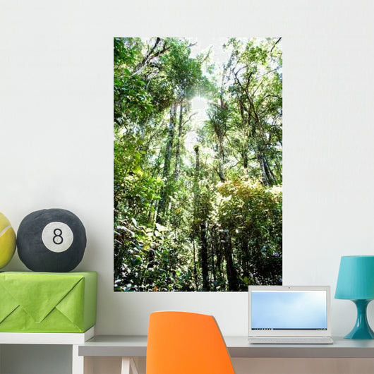Rainforest Canopy Wall Decal