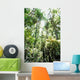 Rainforest Canopy Wall Decal