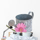 Gerberas and Watering Can Wall Decal