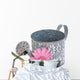 Gerberas and Watering Can Wall Decal