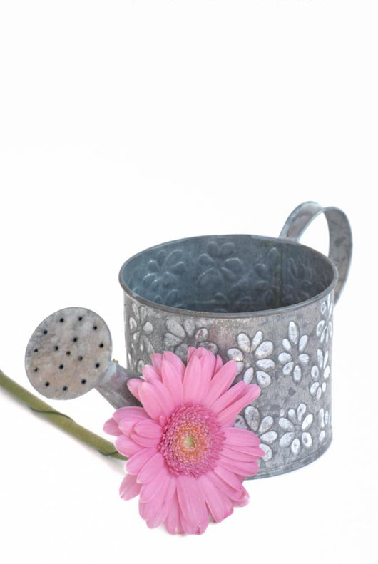 Gerberas and Watering Can Wall Decal