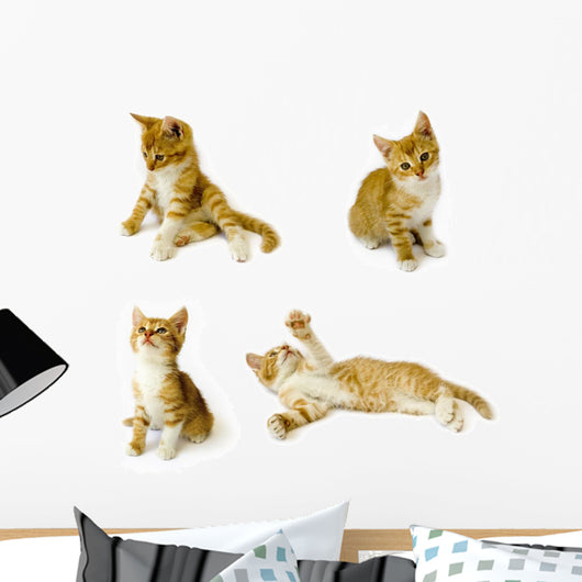 Cats Wall Decal