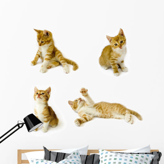 Cats Wall Decal
