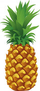pineapple Wall Mural