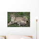 Cheetah and Cubs Wall Mural