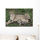 Cheetah and Cubs Wall Mural