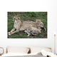 Cheetah and Cubs Wall Mural