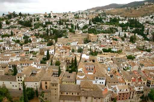 Albacin Wall Decal