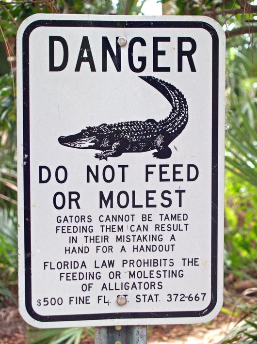 Do Not Feed the Gators Wall Mural