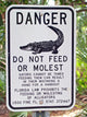 Do Not Feed the Gators Wall Mural