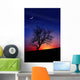 Winter Evening Wall Decal