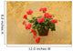 Red Geranium Wall Italy
