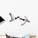 Mallard Anas Platyrhynchos Drake Wall Decal