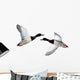 Mallard Anas Platyrhynchos Drake Wall Decal