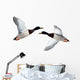 Mallard Anas Platyrhynchos Drake Wall Decal