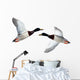 Mallard Anas Platyrhynchos Drake Wall Decal
