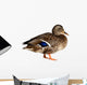 Duck White Wall Decal