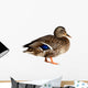 Duck White Wall Decal