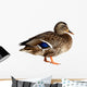 Duck White Wall Decal