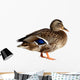 Duck White Wall Decal