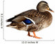 Duck White Wall Decal