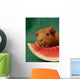Meerschweinchen leckt an Melone Wall Mural