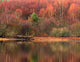 Loch Faskally Wall Decal