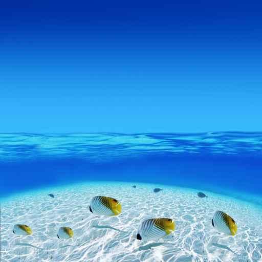 Post Card from Tahiti Wall Decal Design 1
