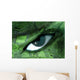Eye Wall Mural