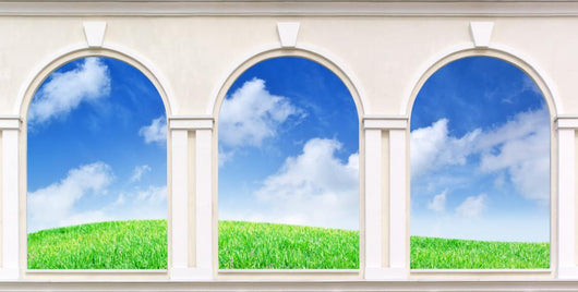 Windows Wall Mural