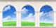 Windows Wall Mural