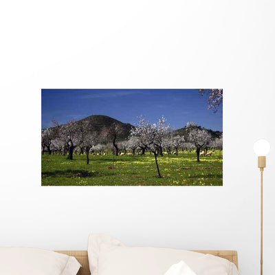 Mallorca Almond Wall Decal shown on a wall