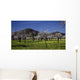 Mallorca Almond Wall Decal