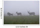 Whitetail Deer Bucks Foggy