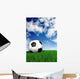 football ball on green grass - soccer Wall Mural
