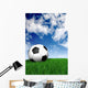 football ball on green grass - soccer Wall Mural