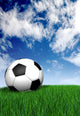 football ball on green grass - soccer Wall Mural