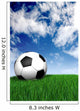 football ball on green grass - soccer Wall Mural