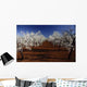 Spring Wall Decal Design 7