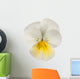 white/yellow pansy Wall Decal