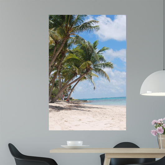 Beach Marie Galante Wall Mural