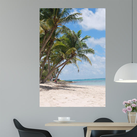 Beach Marie Galante Wall Mural