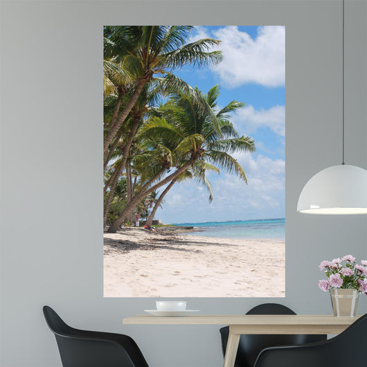 Beach Marie Galante Wall Mural