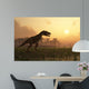 Dinosaur Landscape