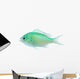 Green Chromis Chromis Viridis Wall Decal