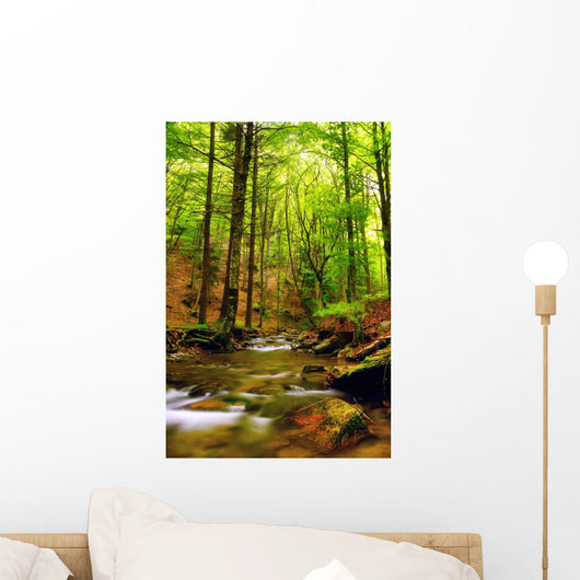 Explosion Colors Forest Autumn Wall Mural