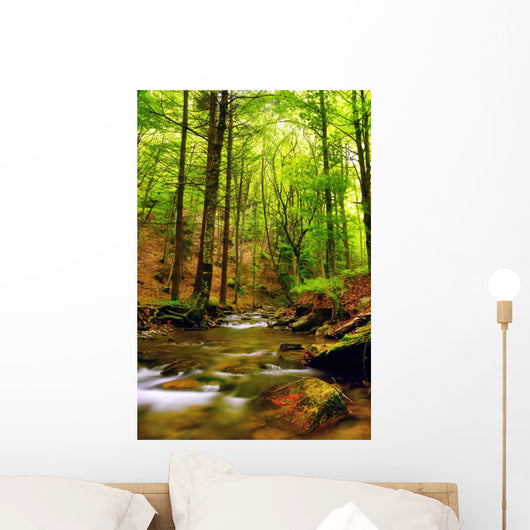 Explosion Colors Forest Autumn Wall Mural
