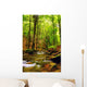 Explosion Colors Forest Autumn Wall Mural